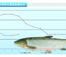 ���~���|�׷����r(ji��)����������ˮ�a(ch��n)ǰ�ء�2019��5�¿��Ј�(ch��ng)څ��(sh��)