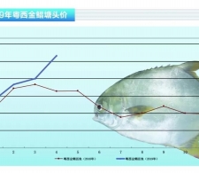 ���K���~�r(ji��)��Ҋ���q��Ͷ��������������ˮ�a(ch��n)ǰ�ء�2019��5�¿��Ј�(ch��ng)څ��(sh��)