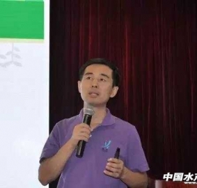 ppt����֮���N�c����  ������