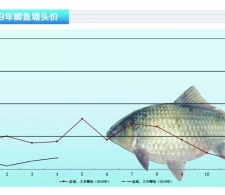 �a�~��Ҏ(gu��)������?j��)r(ji��)�R��������ˮ�a(ch��n)ǰ�ء�2019��5�¿��Ј�(ch��ng)څ��(sh��)