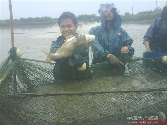 ��һ�����W(w��ng)ץ�����~