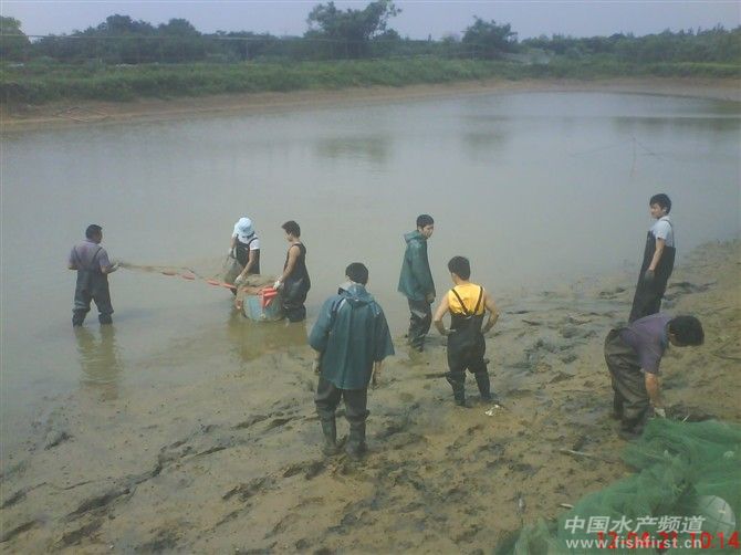 �ƾW(w��ng)���~