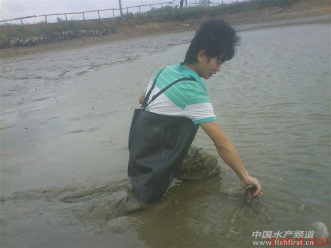 �����԰ΰ�