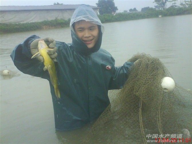 �������S��~Ŷ