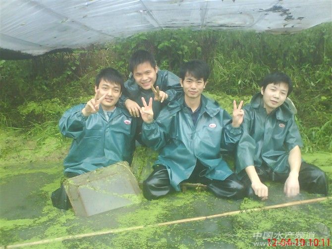 1��2��3������