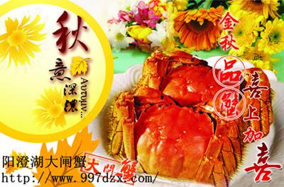 �����ʹ��lз�Yȯ A�ײ�