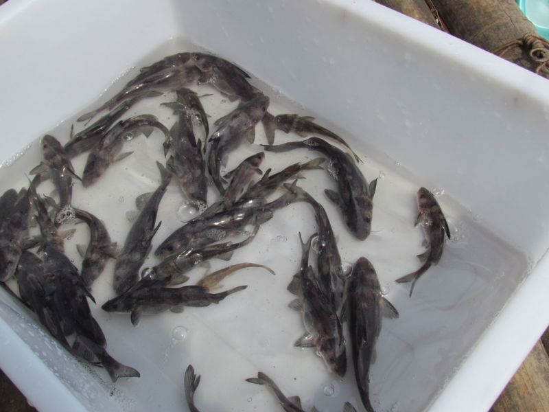 �L�ڴ��������L���d�����F�����~��Ҏ(gu��)����N