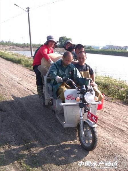 �҂�һ��ȥ�͹��˂����W(w��ng)