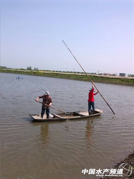 �҂�һ��ʎ�����p��