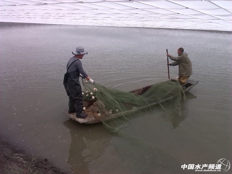 �҂�?c��)ڴ�������ɣ�? title=