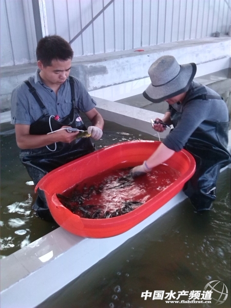 �҂�?c��)ڌ�����־�Ĵ��? title=