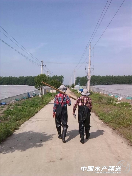 ��H�b���҂�?c��)ڸɻ? title=