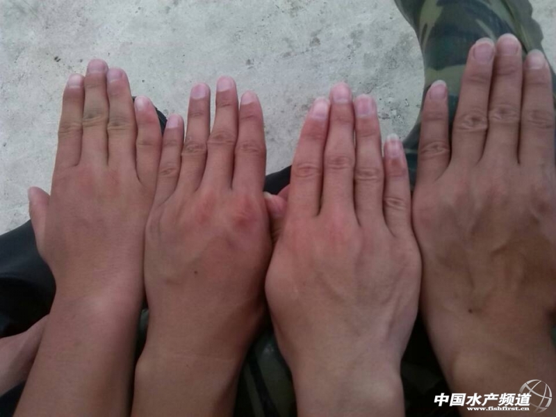 �p��Ҋ�C���҂���(sh��)��(x��)�Ěv��