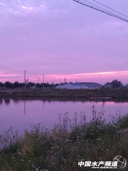 �x�eǰ����ϼ