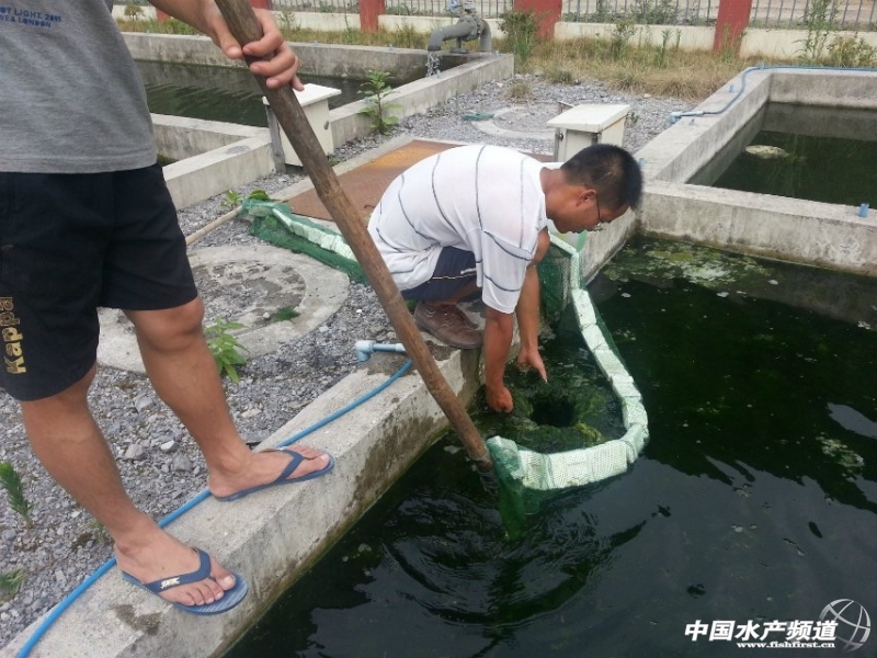 �¸����^(gu��)�Vˮ��