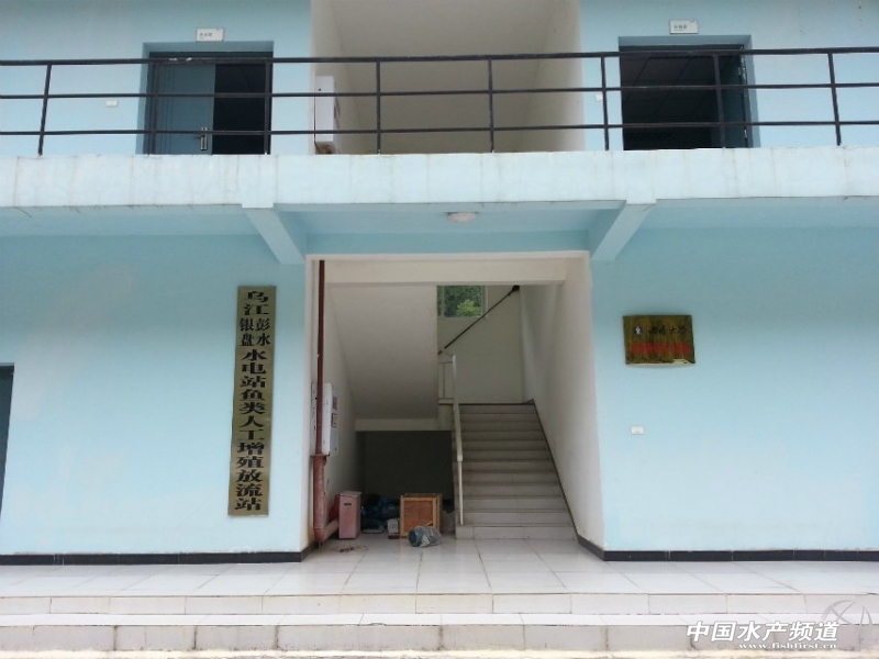 �B(y��ng)ֳ��(ch��ng)1