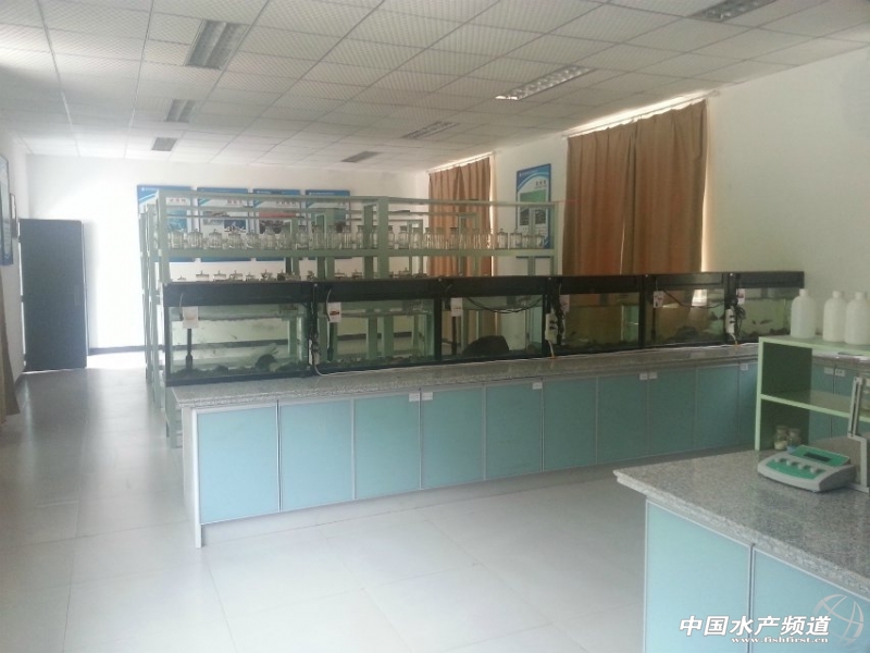 ��(sh��)�(y��n)��