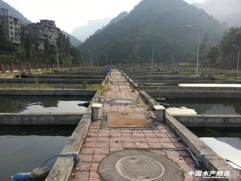 �B(y��ng)ֳ��