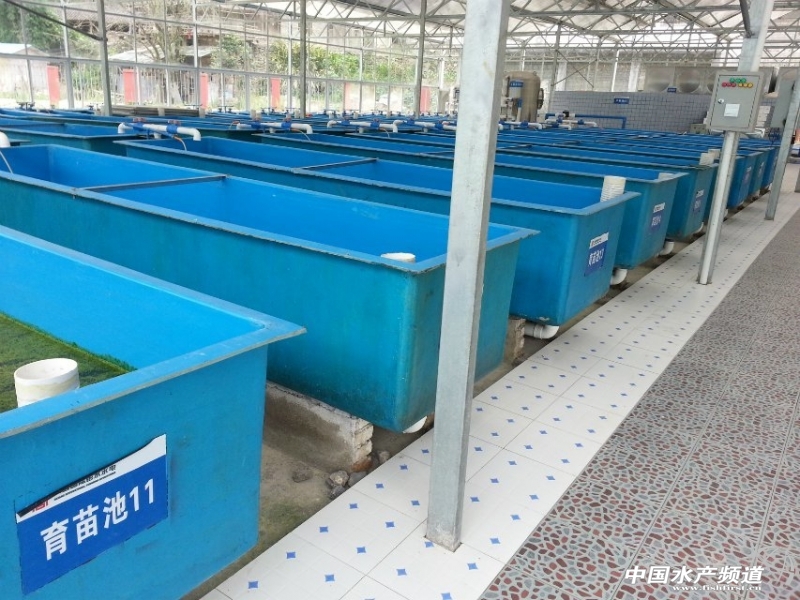 ���a(ch��n)��2