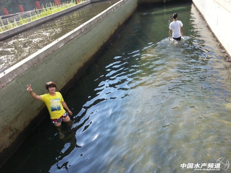 ����ˮ���~(y��)