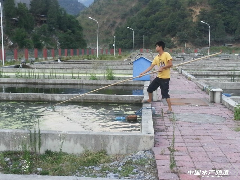 ��������İ׼��~(y��)