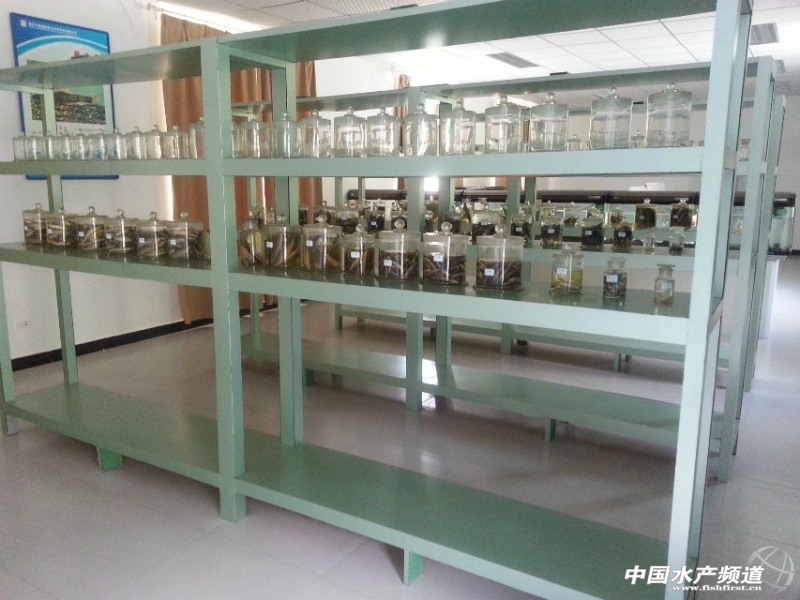 ��(bi��o)����