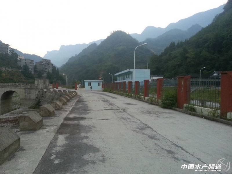 �B(y��ng)ֳ��(ch��ng)���