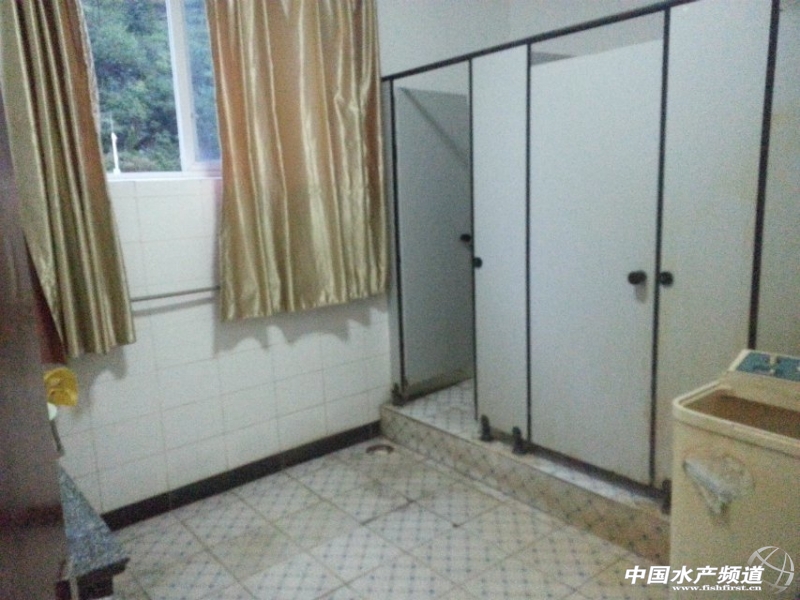 ����һ�l(w��i)���g