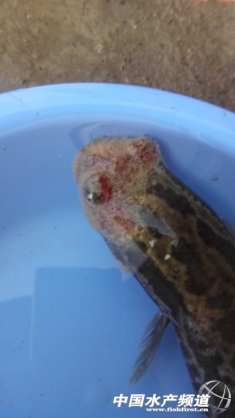 ���^�Ğ��~