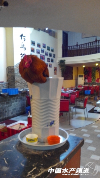 �ɶ��¶��ؑc���Ξ��~����偵�