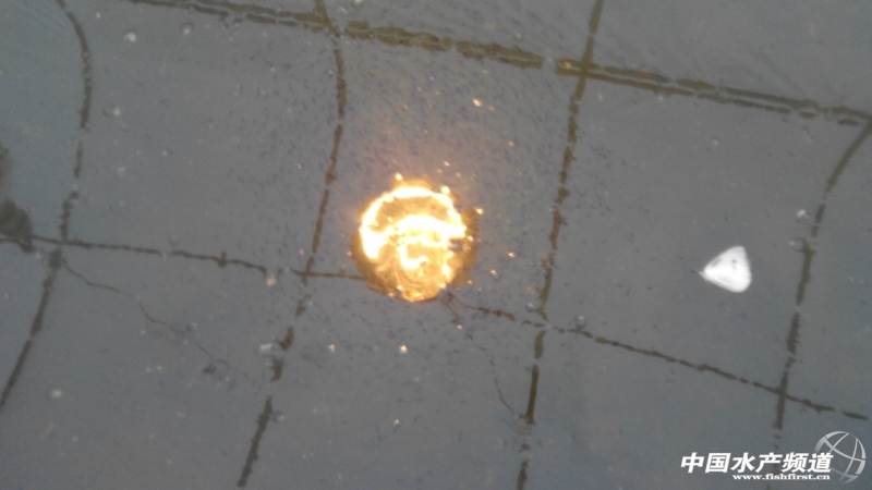 ������Ⱥ�Ğ��~ˮ��1