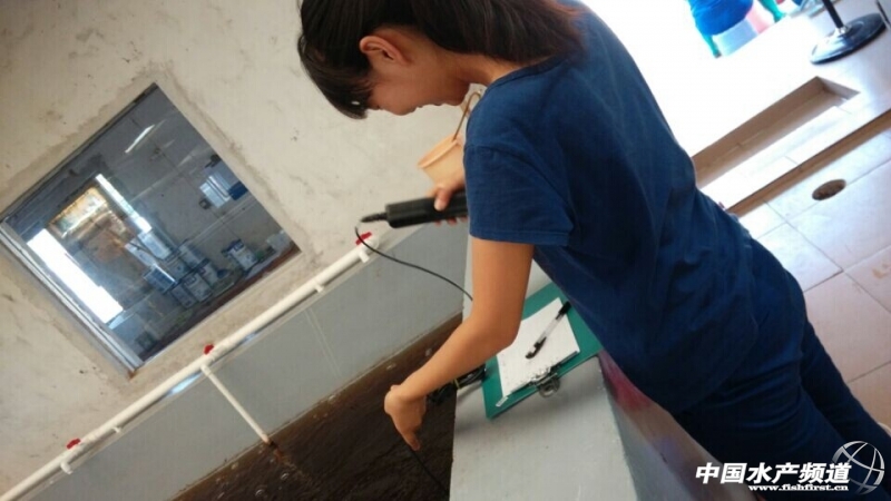 �z�yˮ�|(zh��)