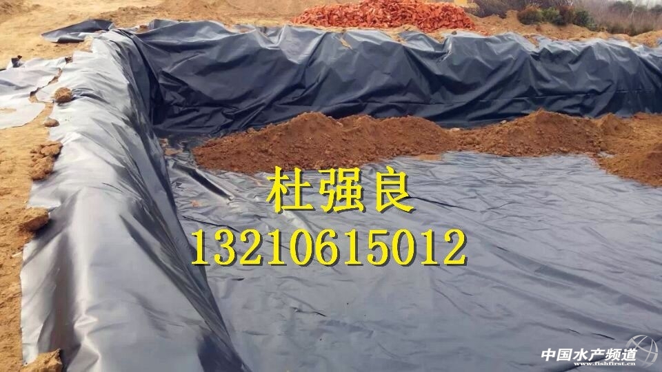 QQ�DƬ20150129080142 - ����.jpg