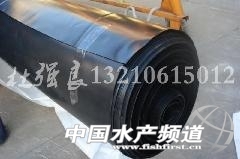 613541s - ����.jpg