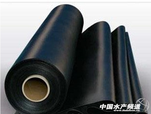 2011.9.27_16.38.27_5140 - ���� (2).jpg