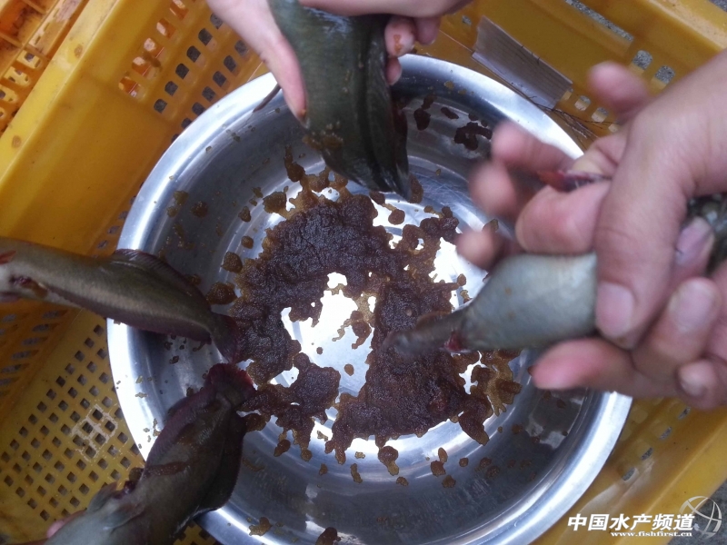 �M�к����T���~�D�ѣ��ܾ�