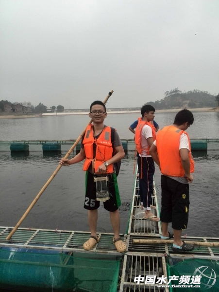 ˮ��ľW(w��ng)�����󲿷��B(y��ng)�����k