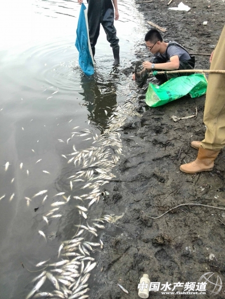 ˮ�����~�r�l(f��)���ġ��¹ʡ�