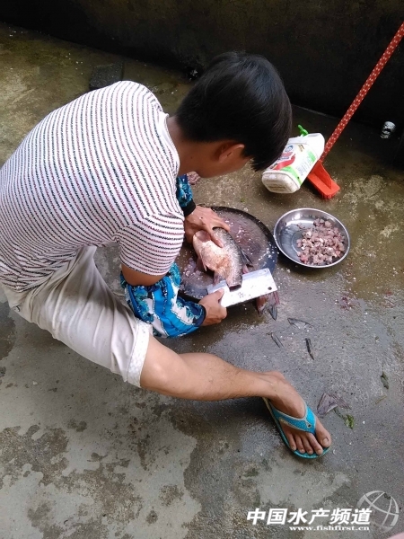 ÿ�춼Ҫ��ȡ���r�~��Ͷι�oʯ���X����