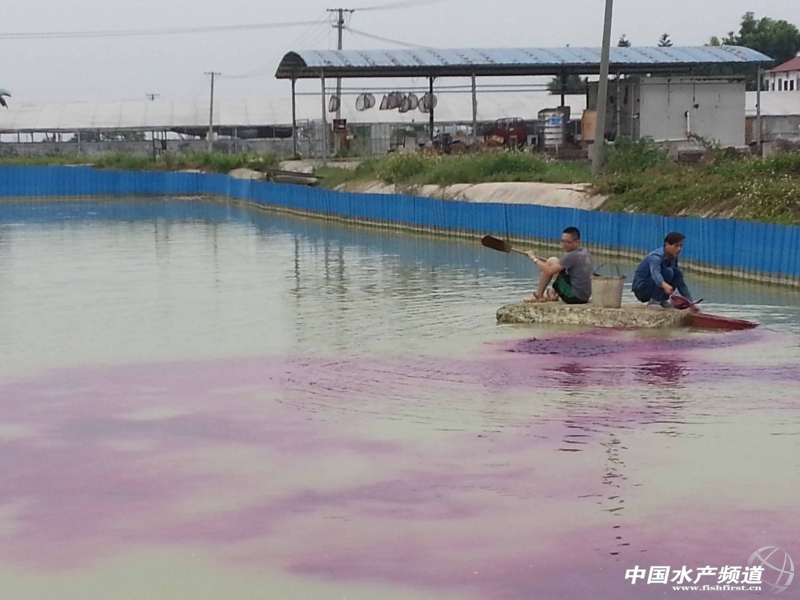 ���ڽo�N���؝������i����M������