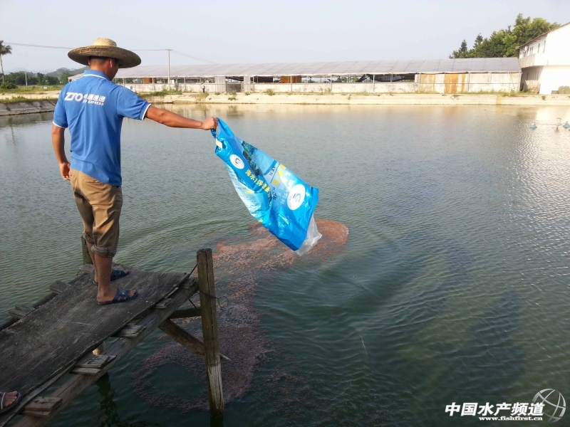 ÿ��̶��ăɴ�Ͷ��