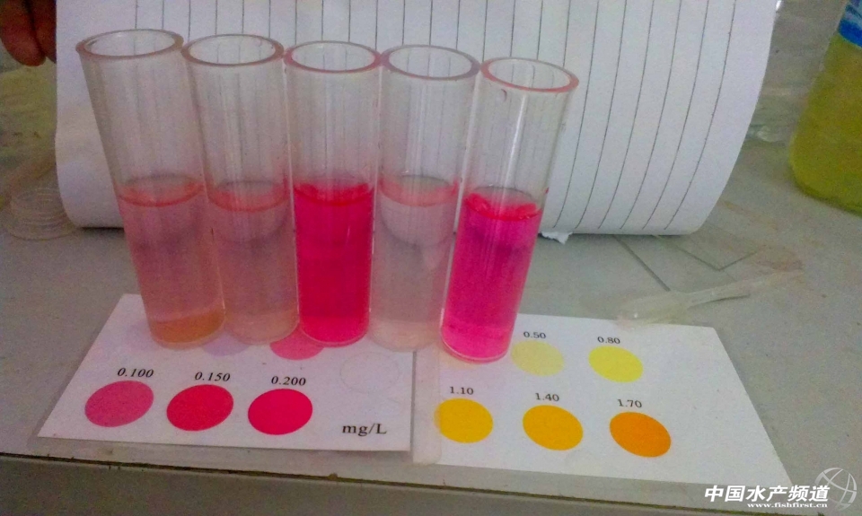 ÿ��̶��ɴεĜyˮ�|(zh��)