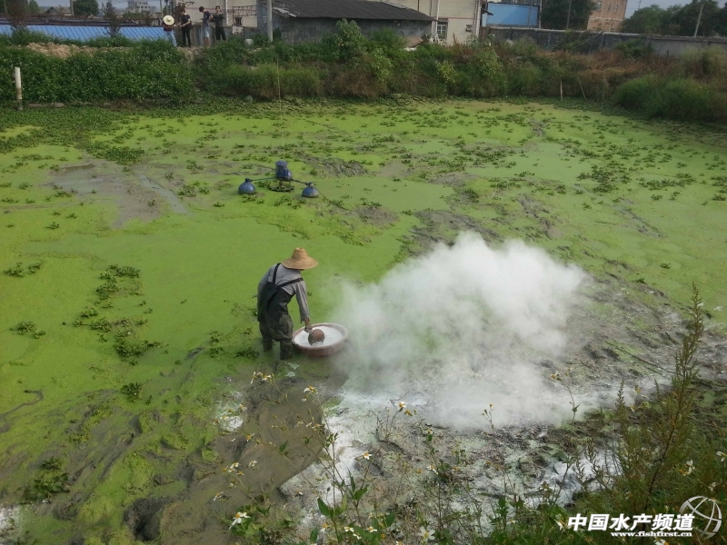 ����������ʯ���M�К����x��