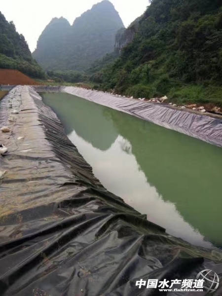 �~���B(y��ng)ֳ���BĤ���o(h��)���x����Ĥһ��һĤhdpe��(f��)������Ĥ�ɲ�һĤ1.0mm �p����HDPE����Ĥ�����̏�(qi��ng)�ȳ���нӶ��Ƹ��N���BĤ�S��ֱ�N ����1Ԫ/�O�� ֧�ֶ��ƬF(xi��n)�ځ����5��ԇ��!!�|(zh��)��10��,���M(f��i)��