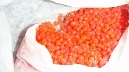 �M(j��n)�������~(y��)�l(f��)����