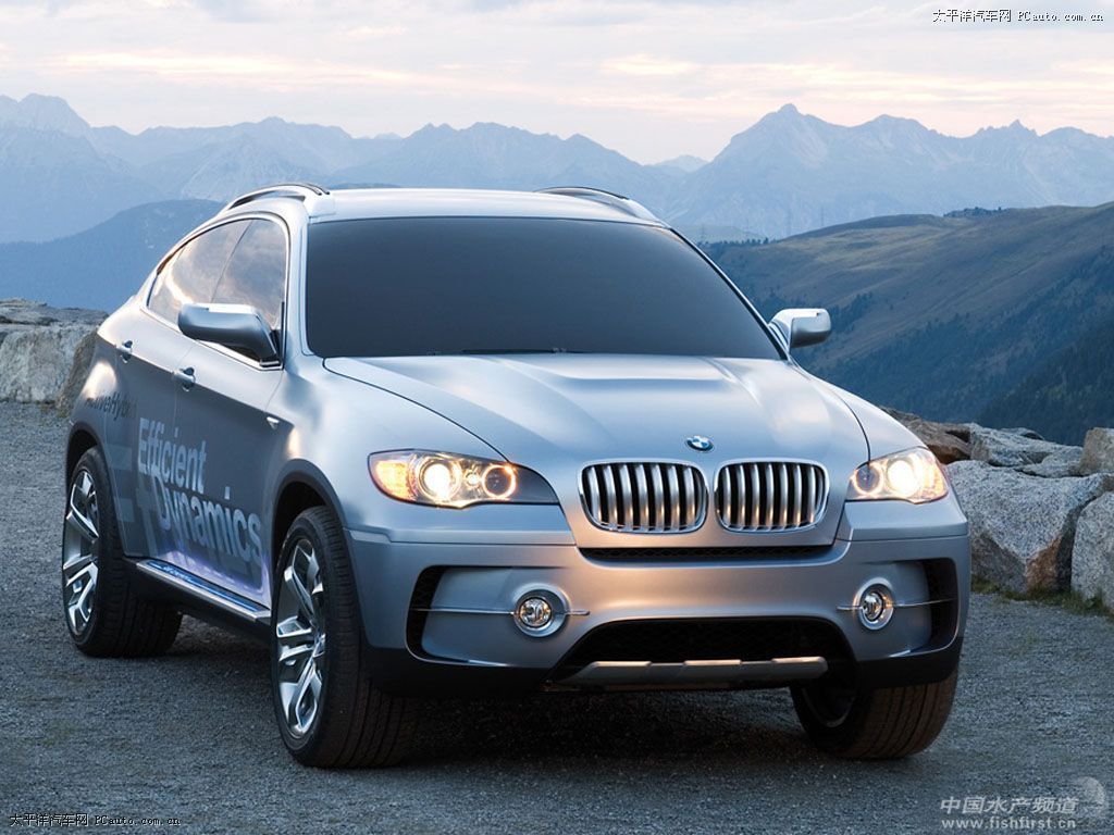 bmwX6.jpg