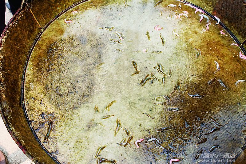 ���r����  ��Ű������������ο�����