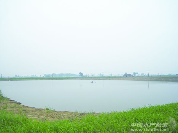 ���w���l(f��)��Ѫ��������~����