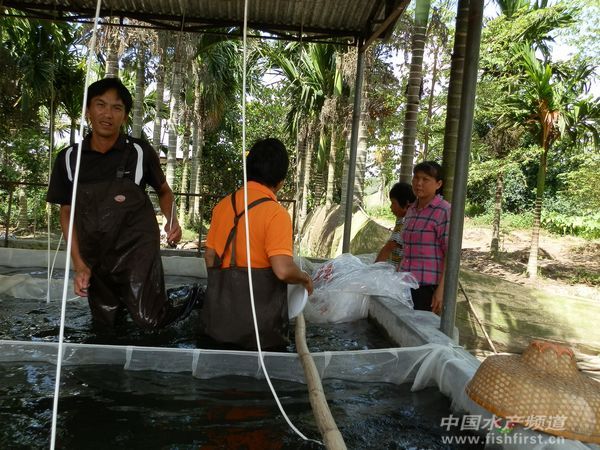 �_�������������������