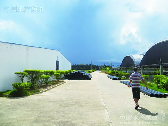 ˮ�a(ch��n)��I(y��)�ġ����Y��֮·